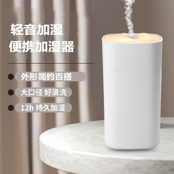 Laisence实用小礼品加湿器迷你卧室家用车载办公桌面生日礼物中秋节礼物女生送女友女朋友闺蜜员工伴手礼四方雪山白色【插电版】	